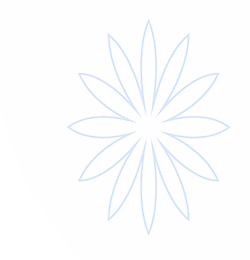 米乐-米乐·M6 (中国大陆)官方网站